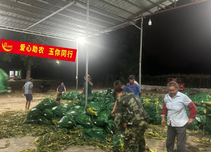 Э�ᰮ����ũ 20����������׽���